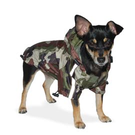 dogo