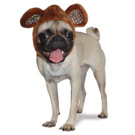 dogo