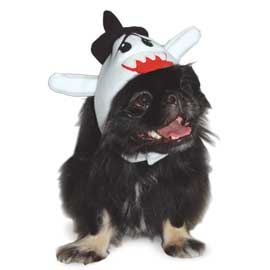 dogo