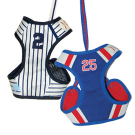 Baseball dogo Harness
