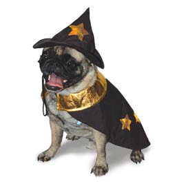 dogo