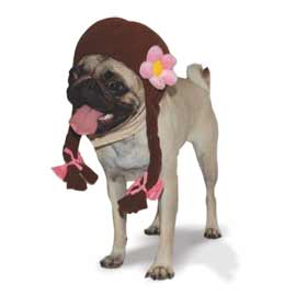 dogo