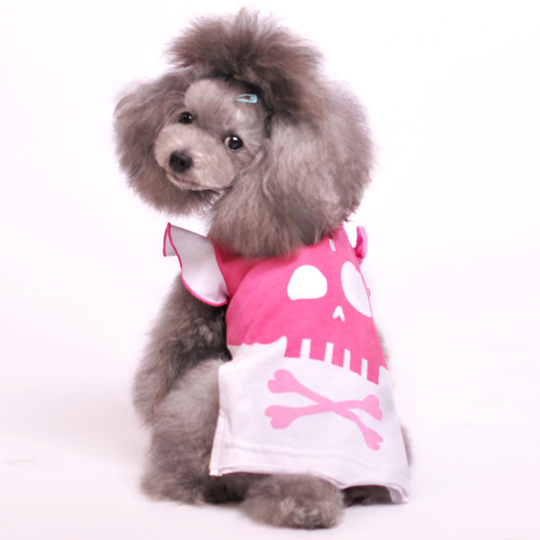 dogo
