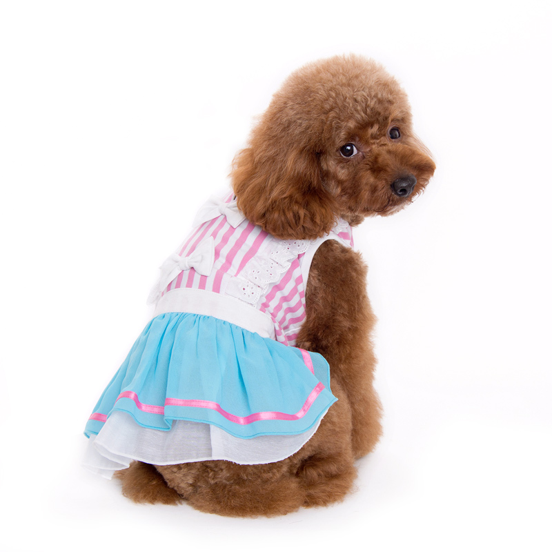 dogo