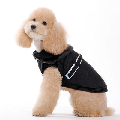 dogo