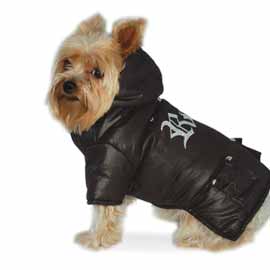dogo