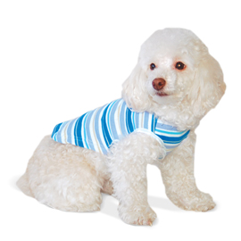 dogo