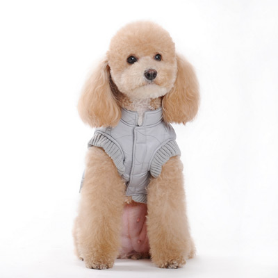 dogo