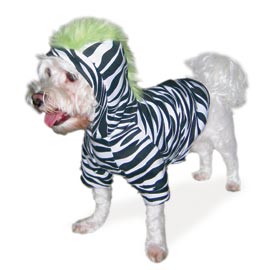 dogo