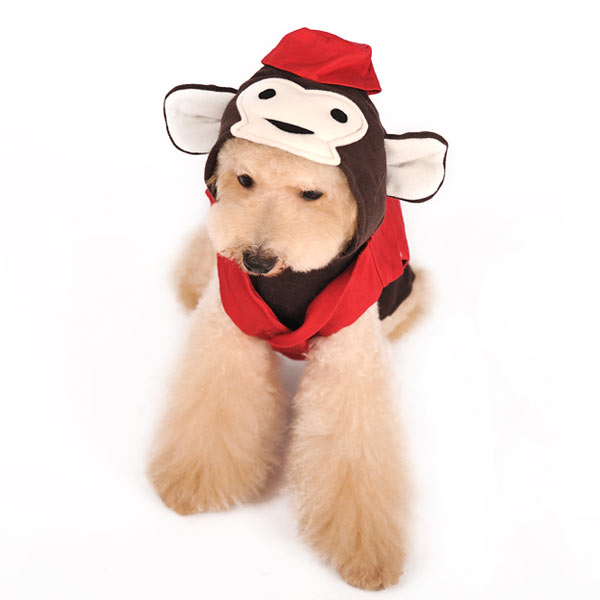 dogo