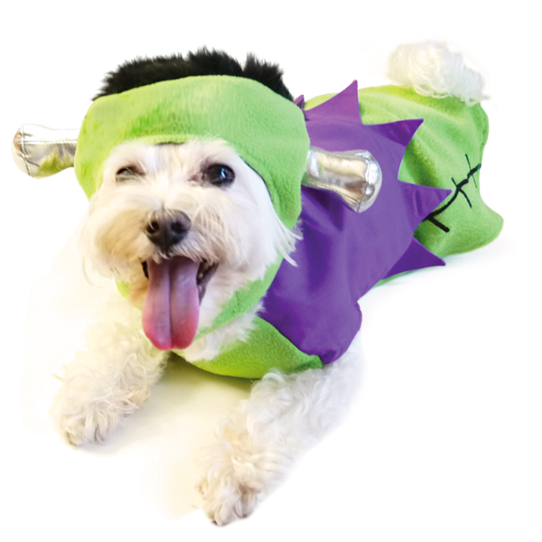dogo